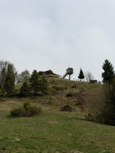 IMG-20260412-WA0013