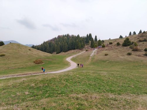 IMG-20260412-WA0042