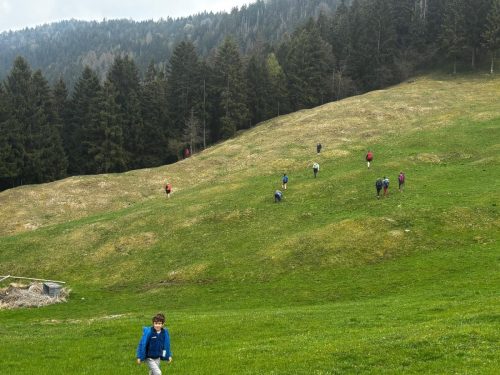 IMG-20260412-WA0044