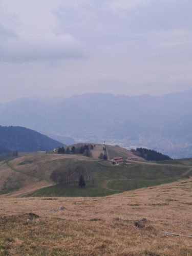 IMG-20260412-WA0050
