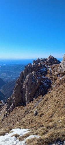 IMG 20260111 111208094 AE