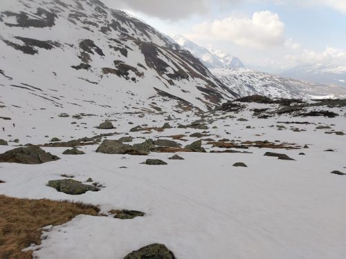 IMG-20260419-WA0033