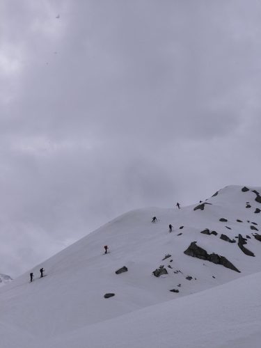 IMG20260419111557