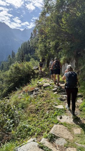 IMG-20260811-WA0052